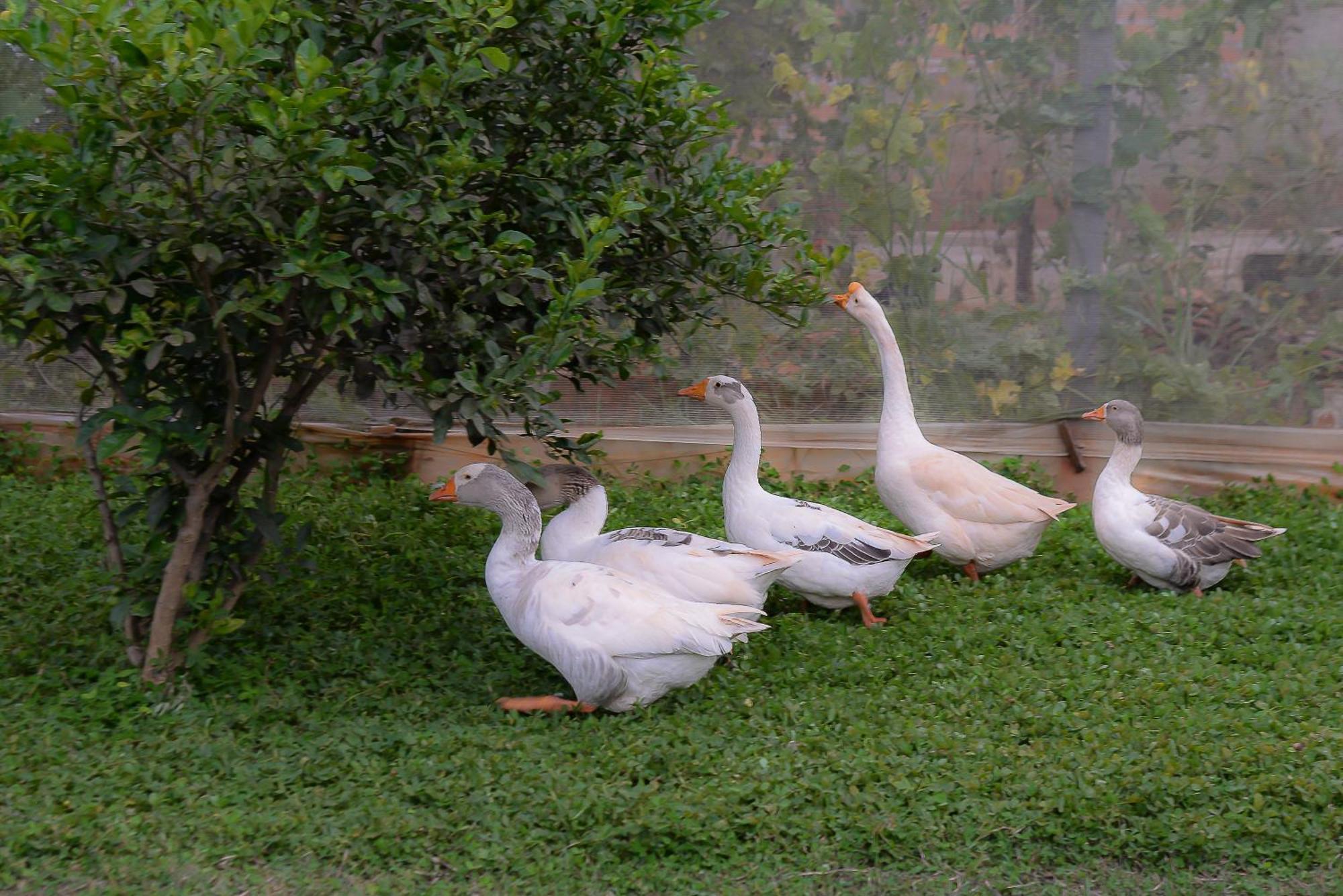Casa De Campo: Tranquil Retreat Near Iguazu Falls Bed & Breakfast